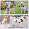 SCENEREAL No Pull Dog Harness Collar and Leash Set Small