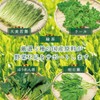 つぼ市製茶本舗 お茶屋の青汁 3g×30ｐ（2袋） 国産 大麦若葉 緑茶 食物繊維 オリゴ糖 スティック 粉末