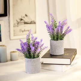 CADNLY Pianta di lavanda artificiale in vaso, fiori di lavanda finti, decorazione viola, pianta in vaso, bagno, camera da letto, cucina, casa colonica, confezione da 2