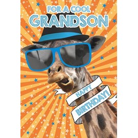 Nigel Quiney Cool Grandson' Funny Birthday Card for Men/Boys - Giraffe with Sunglasses & Hat with Foil Detail - Eco-Friendly & Recyclable