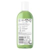 Dove Bodywash Powered by Plants Eucalypthus - 1 x 250ML