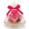 IPFA Preserved Flower Glass Dome Angel Premium (Pink/Thank You Model),