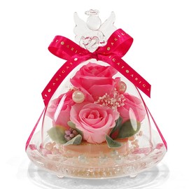 IPFA Preserved Flower Glass Dome Angel Premium (Pink/Thank You Model), Gift, Rose, Angel (Birthday, Wedding Gift, Retirement Gift, 60th Birthday), Flower Gift, Celebration