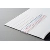 Lion Office Equipment Pick-up Ruler Scale 11.8 inches (30 cm)