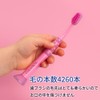 クラプロックスベビー 歯ブラシ 0歳～4歳 スイス製 (ピンク)