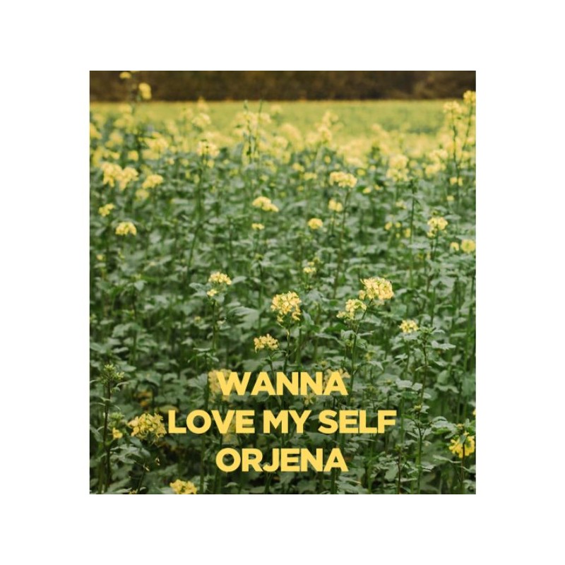 ORJENA Serum To Powder Cushion 14g*2ea, Shade:N21 Vanilla