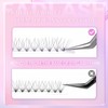 FADLASH Premade Lash Fans D Curl Double Layer Premade Fans