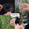 2PCS Plant Stem Support , Acrylic Monstera Stabilizer Grapple Holder