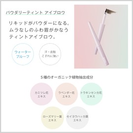 FASIO Powder Tint Eyebrow Light Brown 0.6 g 1 pc(s)