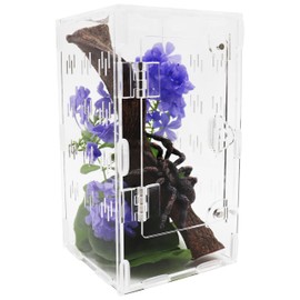 Jumping Spider Enclosure, Spider Terrarium, Acrylic Enclosure Kit, Small Terrarium, Insect Habitat for Spiders, Praying Mantis, Arboreal Tarantula, Bug, Frog, Snail, Lizard and Small Reptiles