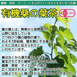 Organic Kyoto Prefecture Mulberry Leaf Tea 0.1 oz (3 g) x 35 pc (Tea Bag, Organic Grown in Japan)