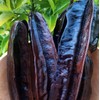 Organic Aridan Bars from Senegal, Tetrapleura tetraptera, Prekese, Uhio