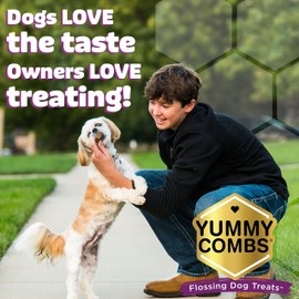 Yummy Combs Yummy Combs Dog Dental Treats C Vet VOHC Approved C Delicious Chicken Protein C Removes Tartar with Cleaning Comb Shape C Dental Dog Treats for Small Dogs (24oz, 42 Count)
