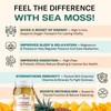 TrueSeaMoss Wildcrafted Irish Sea Moss Gel | Multiple Flavors –
