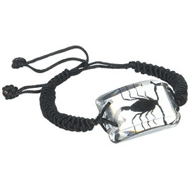 REALBUG Black Scorpion Bracelet, Clear, 10 inches