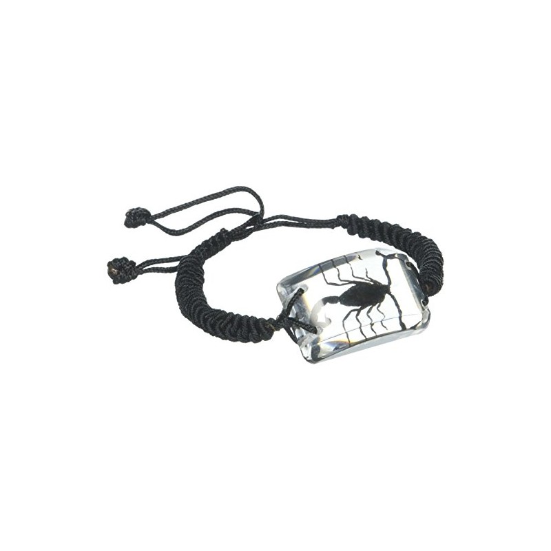 REALBUG Black Scorpion Bracelet, Clear, 10 inches