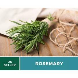 Fresh Rosemary - 50 Seeds - Medicinal & Culinary Herb - GMO Free