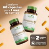 Vidanat Cúrcuma 500 mg 60 Cáps – Complemento Alimenticio Natural