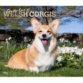 For the Love of Welsh Corgis | 2024 14 x 24 Inch Monthly Deluxe Wall Calendar | Foil Stamped Cover | BrownTrout | Animal Dog Breeds
