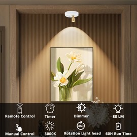 2Pack Battery Operated Spotlight, Picture Light with Remote Dimmable & Timer, Plants Uplighting Picture Lights for Paintings, Small LED Spot Display Lights for Wall Frame Artwork Dartboard