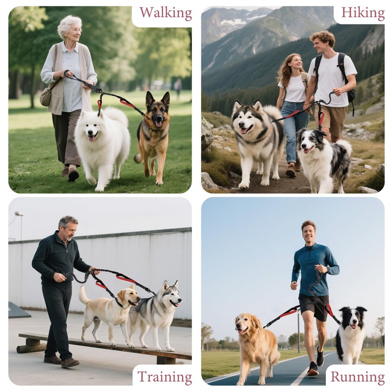 LEOSASA Double Dog Leash - No Tangle Splitter for Two