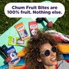 Chum Fruit Bites 100% Real Fruit Snacks | Peach, 40