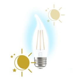 GE LED+ Dusk to Dawn LED Light Bulbs, 5W, Automatic On/Off Outdoor Light Decorative Bulbs, Daylight, Medium Base (2 Pack)