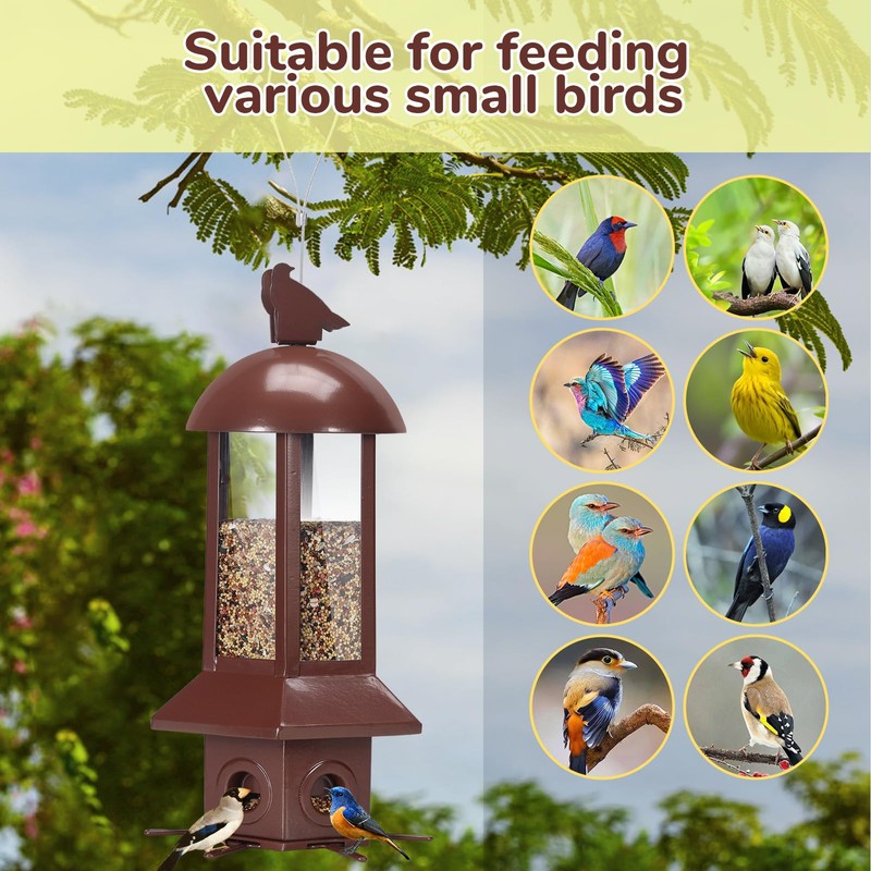 Professional Squirrel Proof Bird Feeders - Sorflife Large Capacity 5.06