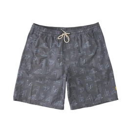 Quiksilver Waterman Men's Volley Swim Trunk Bathing Suit, Subtle Green Deck Stripe, L