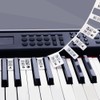 Removable Piano Key Stickers Note Labels for 88 Key Full