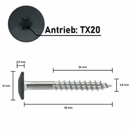 SCREW REBEL Facade Screws 4.8 x 38 TX20 - RAL 7016, Anthracite Grey, Pack of 100 A2 Trespo Stainless Steel