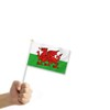 MacLand 25PCS Welsh Handheld Small Flag, Welsh Hand held Mini