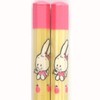 Takumi Seiwa Hexagonal Intelligence Popo and Mimi Children's Chopsticks (6.7