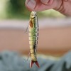 Fishing Lure | Multi-Joint Baits for Angling | Compact Multi-Joint