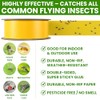 2 Rolls Double-Sided Yellow Sticky Tree Tape 2 Inch Wide