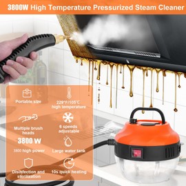 Teodute Steam Cleaner for Home, High Pressure Handheld Steam Cleaner with 10FT Cords and 6-gears Adjustable, Portable Steamer for Cleaning Car Upholstery Tile Grout Home