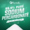 Pureza De Percarbonato De Sodio 99% - 2 Libras (Peroxido