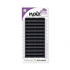 Noir Volume Lashes Easy Fan Lashes D curl 0.07 10mm Russian Volume Self Fanning Eyelash Extensions