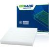 Ecogard XC36080 - Filtro de aire de cabina premium, para