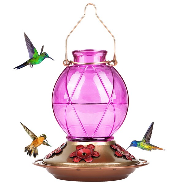 BOLITE 18016-P Comedero para colibríes, Comedero de Cristal para colibríes