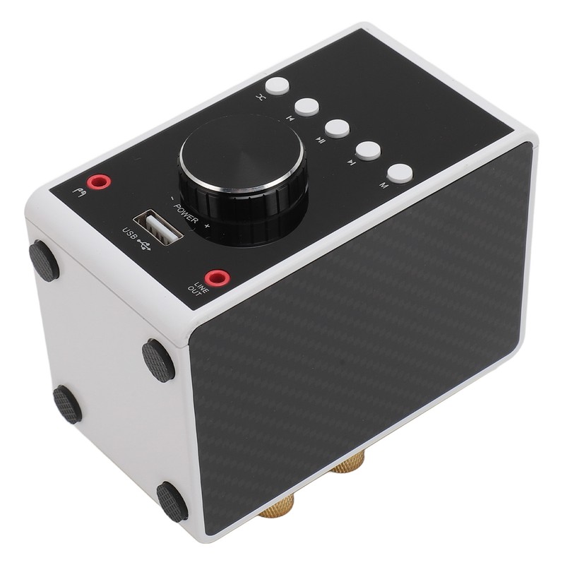 200W Bluetooth 5.0 Amplifier HIFI Stereo Sound Digital Amp Wireless