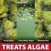 The Pond Guy InstaFix Algae Control, Outdoor Water Garden, Fountain