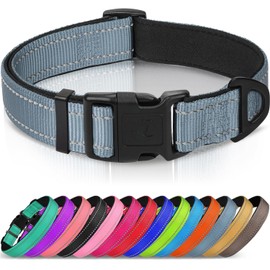 Joytale Reflective Dog Collar, Soft Neoprene Padded, Metal D-Ring, Nylon Pet Collar Adjustable for Small Dogs, Gray, S