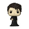 Funko Pop! TV: Sandman - Dream with Chase, (Style May