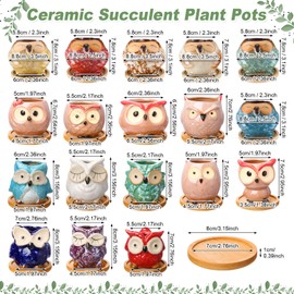 Cindeer 18 Pcs 2.5 Inch Owl Ceramic Succulent Planter Pots Mini Small Ceramic Pots with Drainage Hole and Bamboo Tray for Succulents Glaze Cactus for Home Garden Office Desk Decoration Gift Ideas