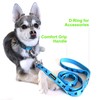 EcoBark Dog Leash - 5 FT Soft Comfort Leashes with