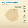 Extracto Hongo Melena De León Orgánico Polvo 100g Adaptogeno Sabor