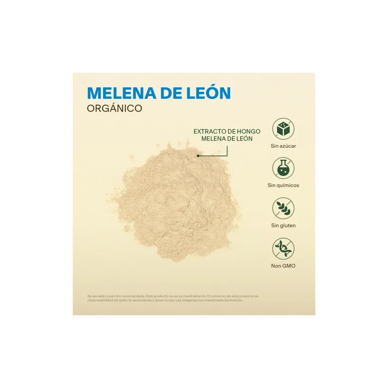 Extracto Hongo Melena De León Orgánico Polvo 100g Adaptogeno Sabor