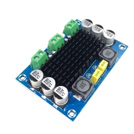 Audiofan XH-M542 TPA3116D2 Digital Power Amplifier Board Mono Channel 100W DC12V-26V TPA311 Power Amplifier Module 79mm x 54mm x 16mm