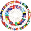 Anley Assorted 100 Different Countries Toothpick Flag Double Sided &